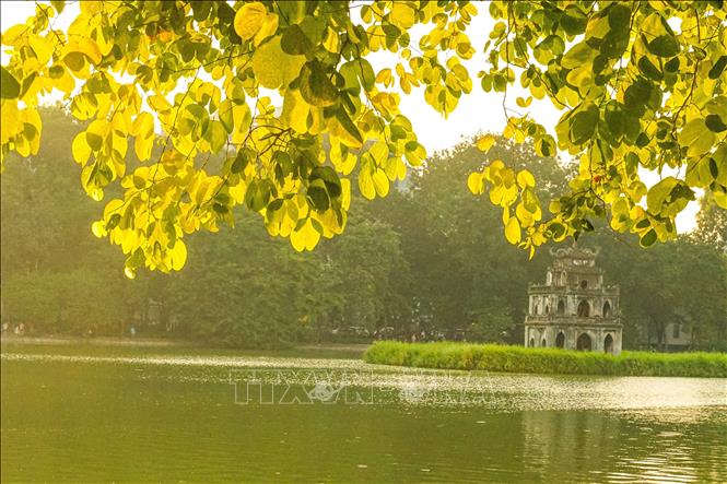 CTY Tester Tuyen Bui MGN 12333